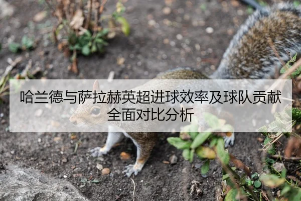 哈兰德与萨拉赫英超进球效率及球队贡献全面对比分析
